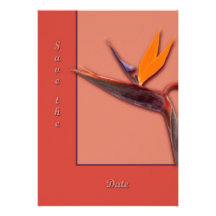 Bird of Paradise Personalised Invitation