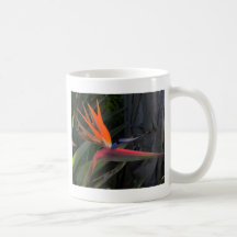 Bird of Paradise Photo Coffee Mugs