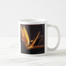 Bird of Paradise, San Diego, CA, Bird of Paradi... Coffee Mugs
