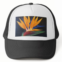 Bird Of Paradise Tropical Flower Painting - Multi Hats