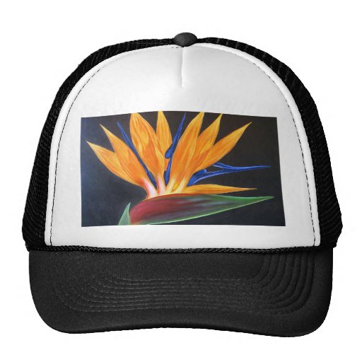 Bird Of Paradise Tropical Flower Painting - Multi Hats