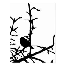 Bird on a Branch Postcard