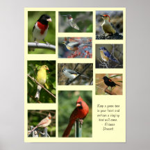 Bird Poster