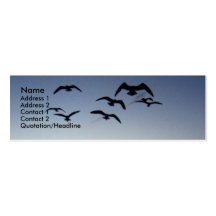 Bird silhouette Profile Card Business Card Templates