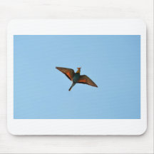 Bird With Butterfly In Beak Mouse Pad