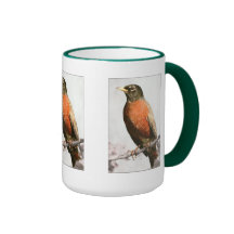Birds Coffee Mugs