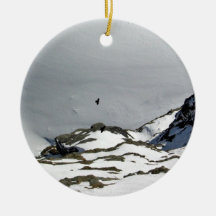 Birds flying over snowy mountain ornaments