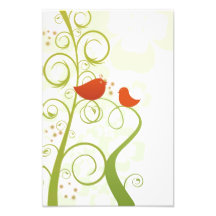 Birds illustration photograph