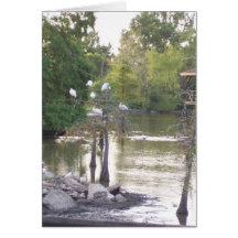 Birds In Tree Greeting Card