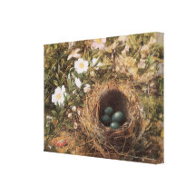 Birds Nest and Dogroses by Hill,Victorian Fine Art Canvas Print