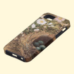Birds Nest and Dogroses by Hill,Victorian Fine Art casemate cases