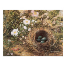 Birds Nest and Dogroses by Hill,Victorian Fine Art Personalized Invitations