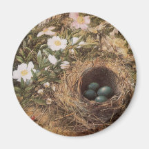 Birds Nest and Dogroses by Hill,Victorian Fine Art Fridge Magnet