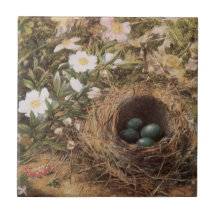 Birds Nest and Dogroses by Hill,Victorian Fine Art Ceramic Tile