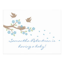 Birds Nest Baby Shower postcard