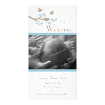 Birds Nest Birth Announcement Photo Cards