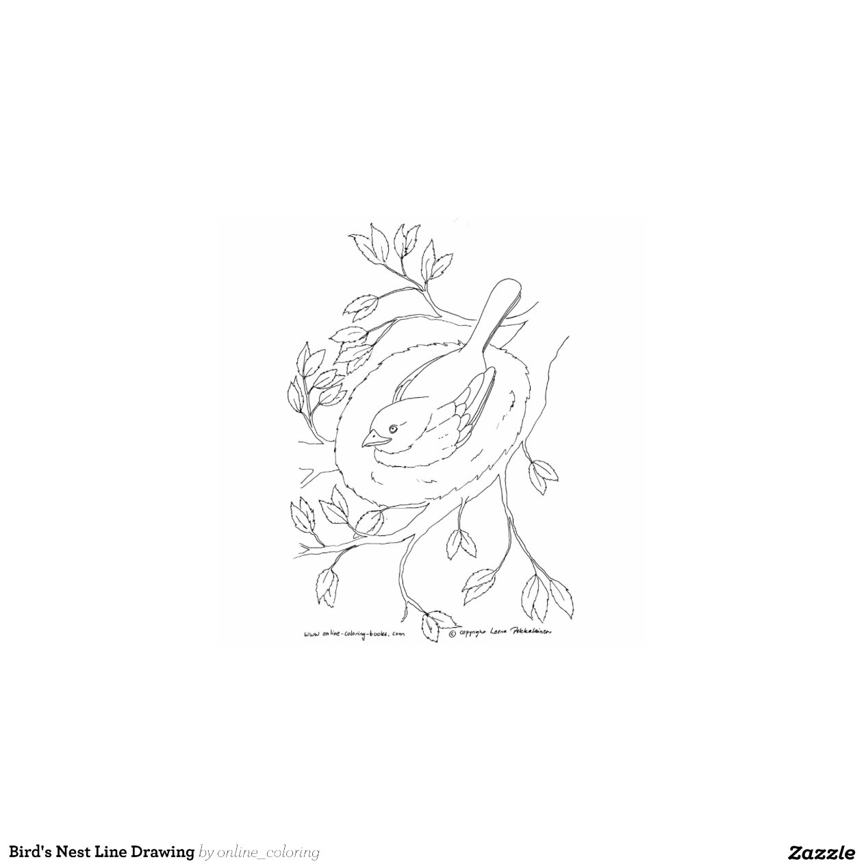 Line Drawing Nest : Bird s nest line drawing zazzle