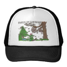 Birds of Cheshire Hats
