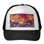 Birds Of Paradise Tropical Flower - Multi Hat