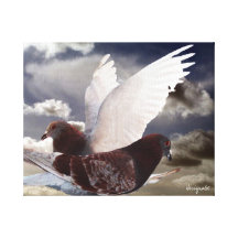 Birds of Peace Stretched Canvas Print