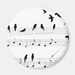 Birds on a Score Magnets