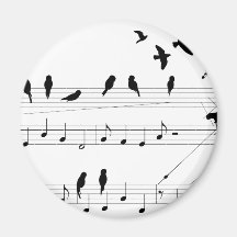 Birds on a Score Magnets