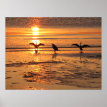 Birds on the Beach Poster