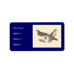 Birds (template for prints) address label