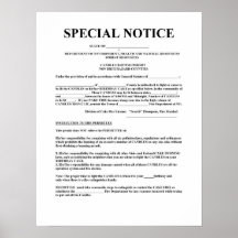 Birthday Candle License Print