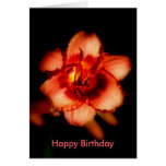 Birthday Card