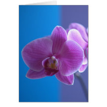 Birthday Card for Daughter -- Orchid