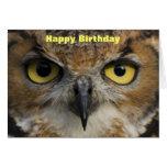 Birthday Card - Owls Eyes