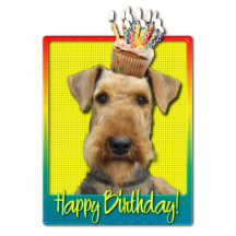 Birthday Cupcake - Airedale Photo Sculptures