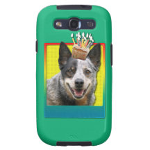Birthday Cupcake - Australian Cattle Dog