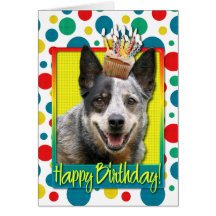 Birthday Cupcake - Australian Cattle Dog Card