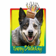 Birthday Cupcake - Australian Cattle Dog Photo Cut Out