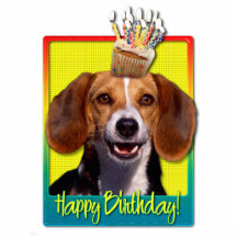 Birthday Cupcake - Beagle Photo Sculptures