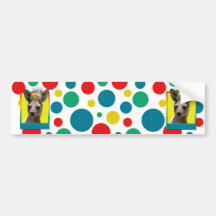 Birthday Cupcake - Kangaroo Bumper Stickers