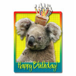 Birthday Cupcake - Koala Photo Sculptures