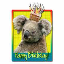 Birthday Cupcake - Koala Photo Sculptures