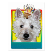 Birthday Cupcake - Westie - Tank Postcard