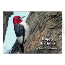 Birthday for Godmom, Red-headed Woodpecker Cards