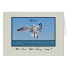 Birthday for Lover with Laughing Gull Greeting Card