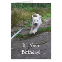 Birthday Humour with Cute Running Goldendoodle Pup Greeting Card