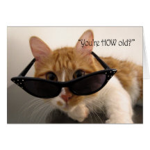 Birthday Humour - You're HOW Old? Cat Cards