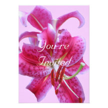 Birthday Invitation--Stargazers Outline