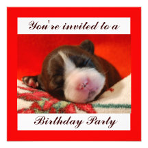 Birthday Party Invitation
