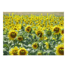 Birthday sunnies custom announcement