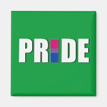 BISEXUAL PRIDE WORD FLAG REFRIGERATOR MAGNETS