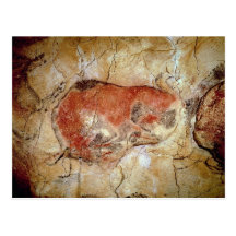 Bison from the Altamira Caves Postcards